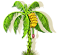 Банановая пальма: иконка