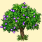 Оливковое дерево: иконка
