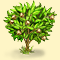 Каучуковое дерево: иконка