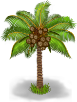 Кокосовая пальма: 100%
