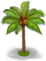 Кокосовая пальма: 25%