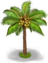 Кокосовая пальма: 50%