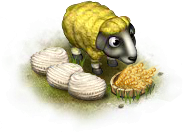 Жёлтая овца